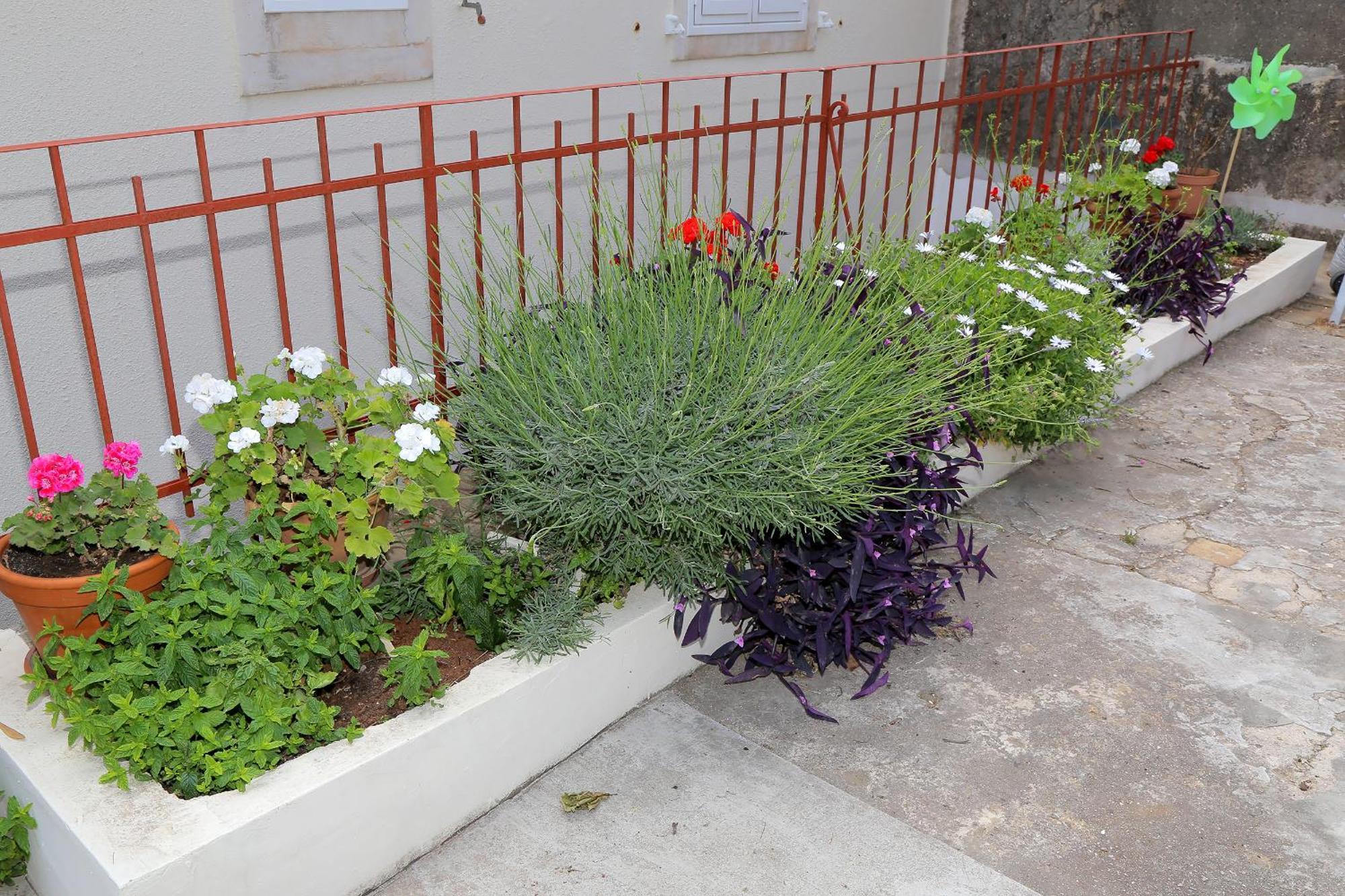 Vicina Summer Apartments دوبروفينك المظهر الخارجي الصورة